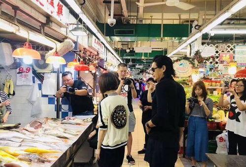 鲁豫菜市场爆料视频播放,揭秘日常食材背后的秘密